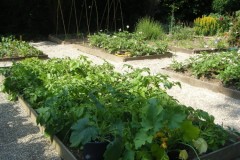 Moxham-House-Vegetable-Garden