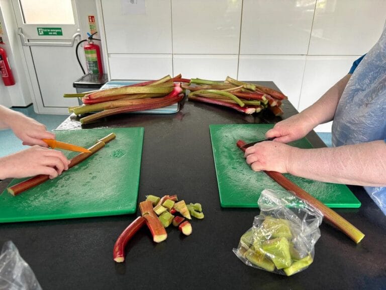 Preparing Rhubarb from the Garden