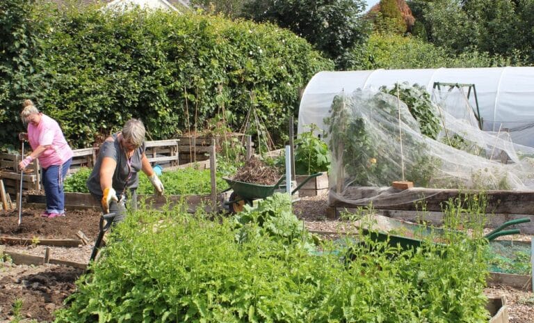 Moxham House Vegetable Plot