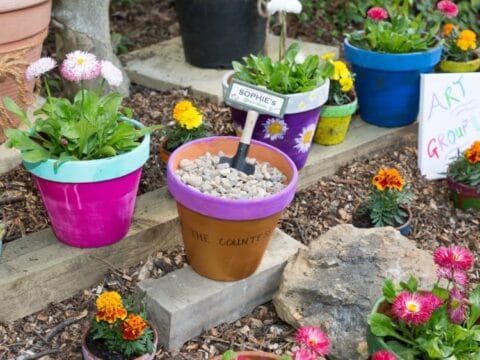 Colourful Flower pots