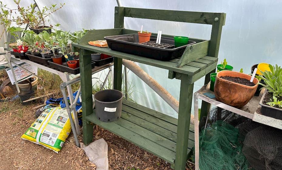 Green Wooden Shelving unit