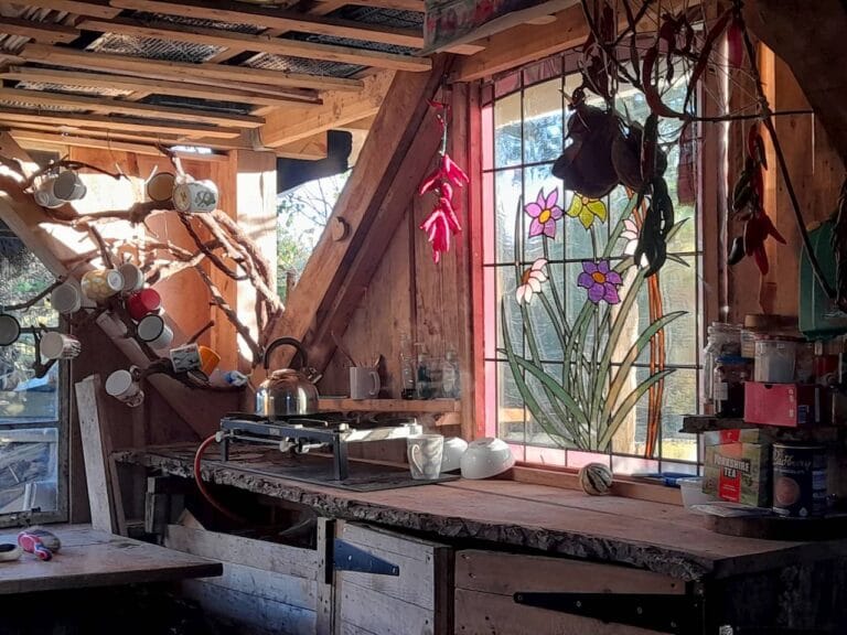 Allotment Shed